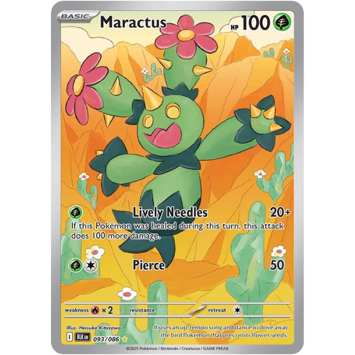 Maractus #93