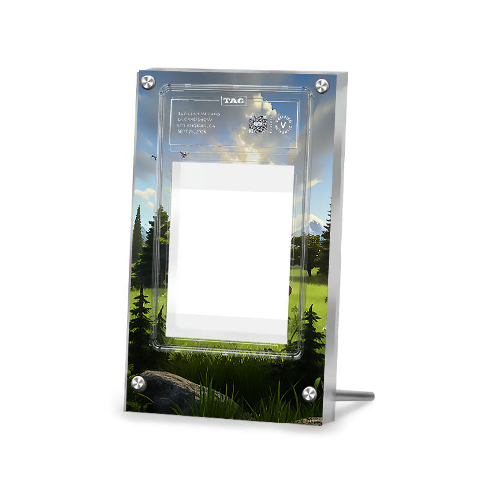 Arceus V SWSH204 - Pokémon Extended TAG Artwork Protective Card Display Case