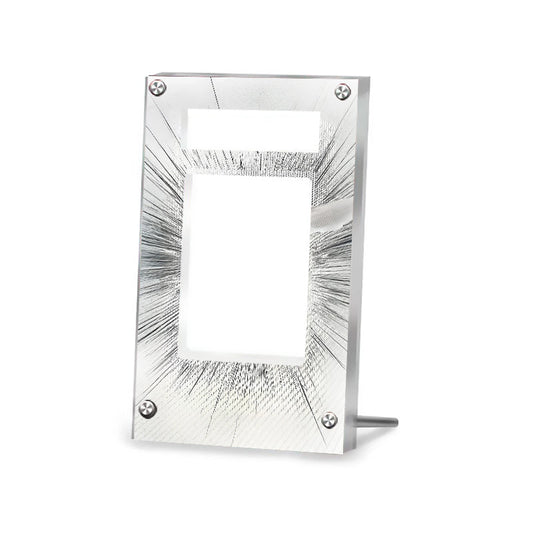 Reshiram EX 173/086 - Pokémon PSA Extended Artwork Protective Card Display Case