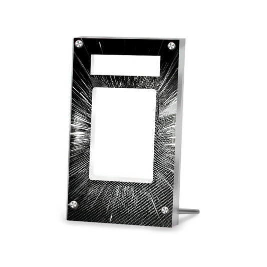 Zekrom ex 174/086 - Pokémon PSA Extended Artwork Protective Card Display Case