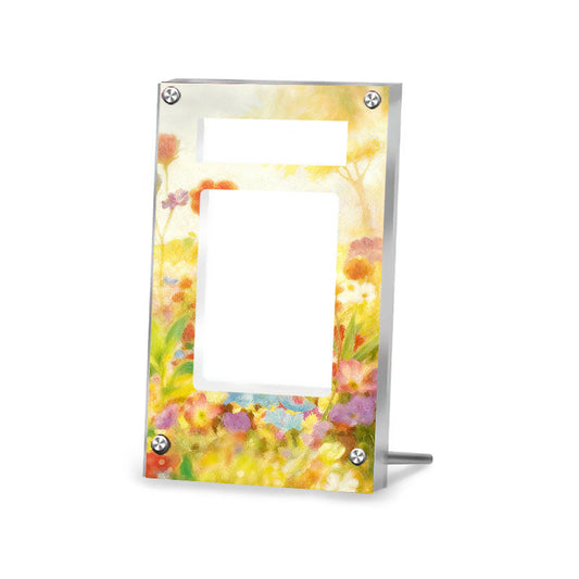 Mew ex Promo 003/SV-P - Pokémon PSA Extended Artwork Protective Card Display Case