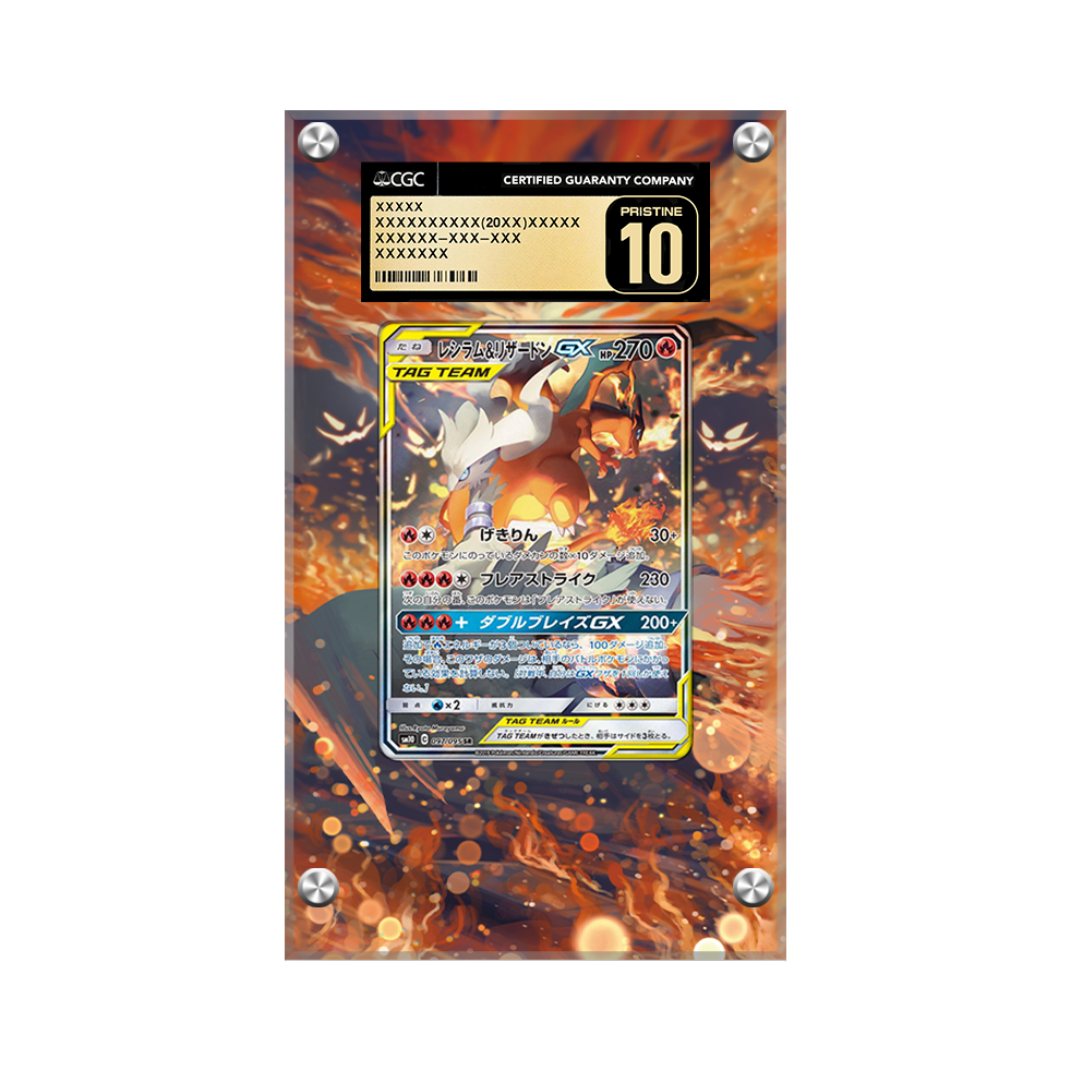 Reshiram & Charizard GX 217/214 Pokémon Extended Artwork Display Case Psa/cgc/raw-2