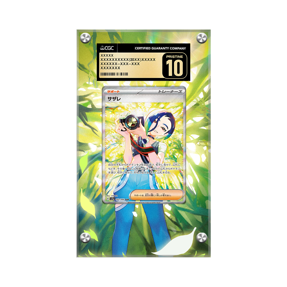 Perrin Sr 087/066 Pokémon Extended Artwork Protective Display Case Psa/cgc/raw-2