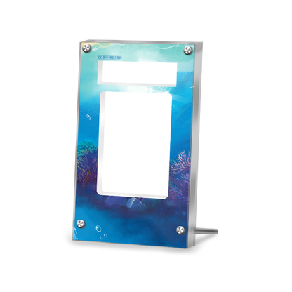Wartortle 171/165 - Pokémon CGC Extended Artwork Protective Card Display Case