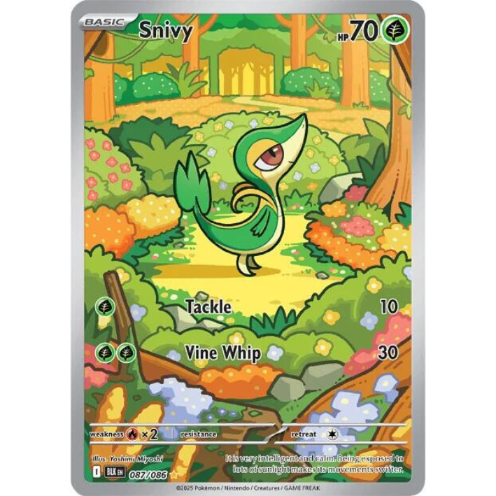 Snivy #87