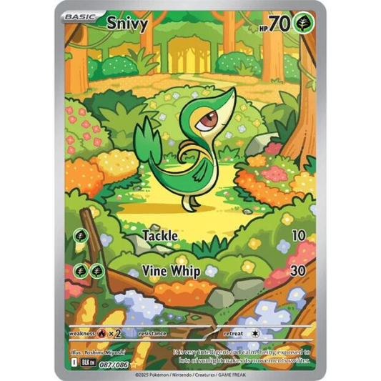 Snivy #87