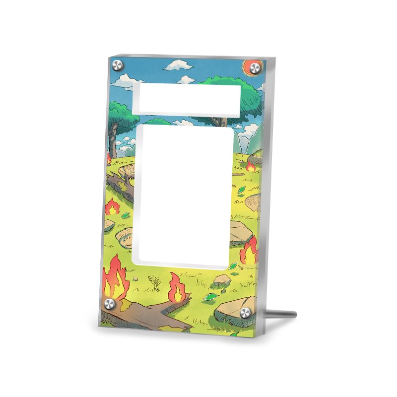 Charizard SWSH 260 - Pokémon PSA Extended Artwork Protective Card Display Case