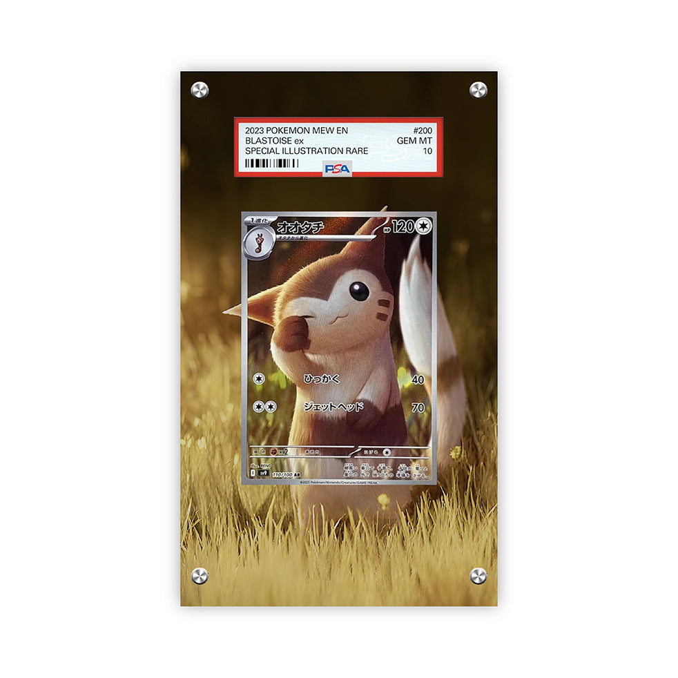 Furret 168/159 - Pokémon Extended Artwork Protective Card Display Case Psa/cgc/tag/raw-1