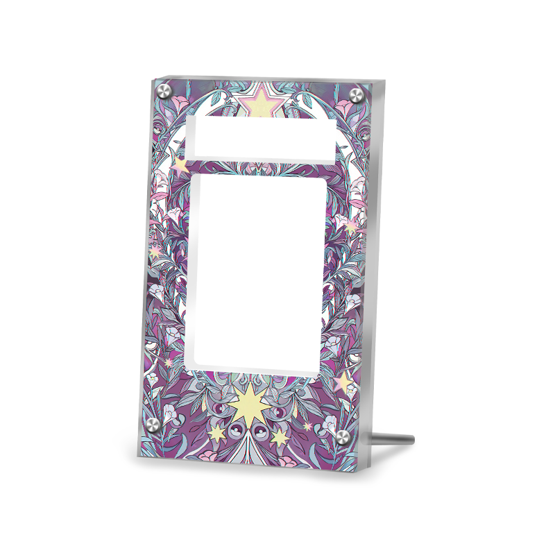 Gardevoir EX 178/132 - Pokémon PSA Extended Artwork Protective Card Display Case