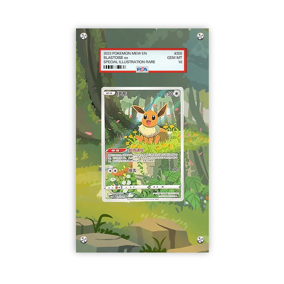Eevee CBB2C 15/15 - Pokémon PSA Extended Artwork Protective Card Display Case