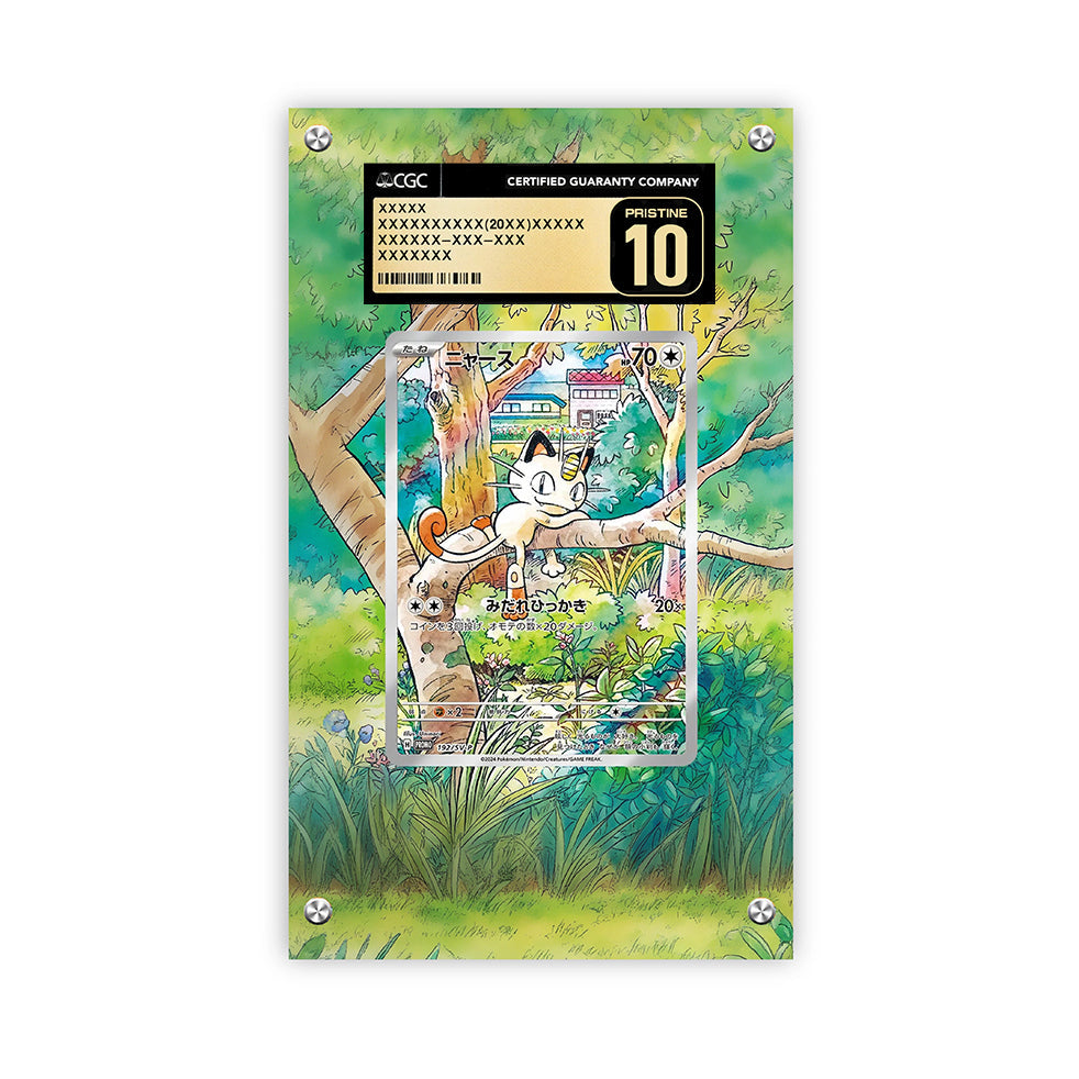 Meowth 192/SV-P - Pokémon CGC Extended Artwork Protective Card Display Case