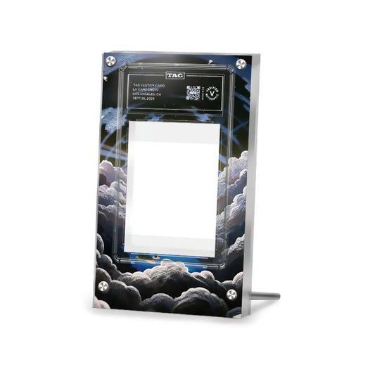 Arceus V 166/172 - Pokémon Extended TAG Artwork Protective Card Display Case