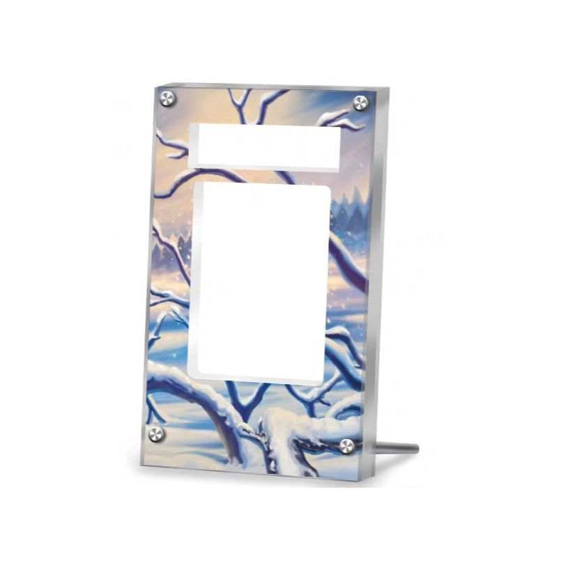 Glaceon VSTAR Gg40 Pokémon Extended Artwork Protective Card Display Case-3