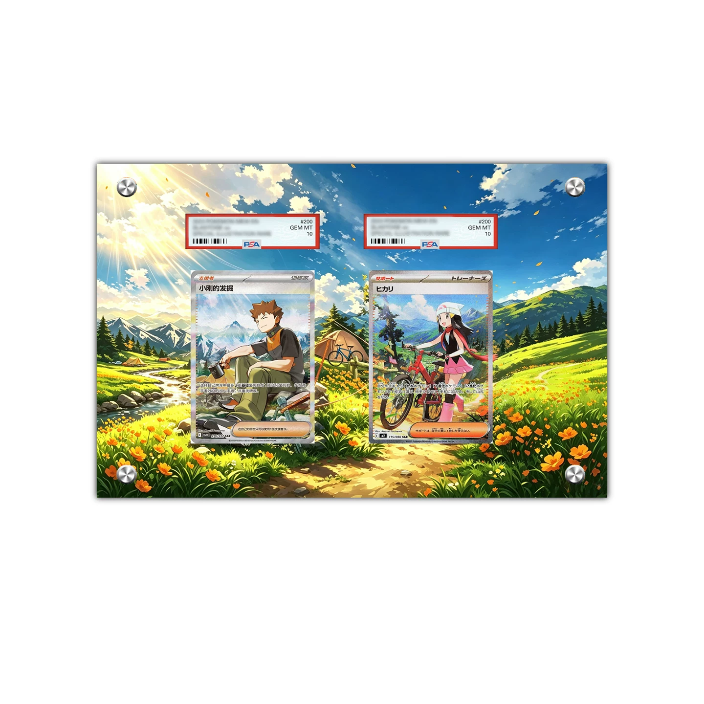 Brock 276/222 & Dawn 129/094 - Pokémon Extended Artwork Protective Card Display Case