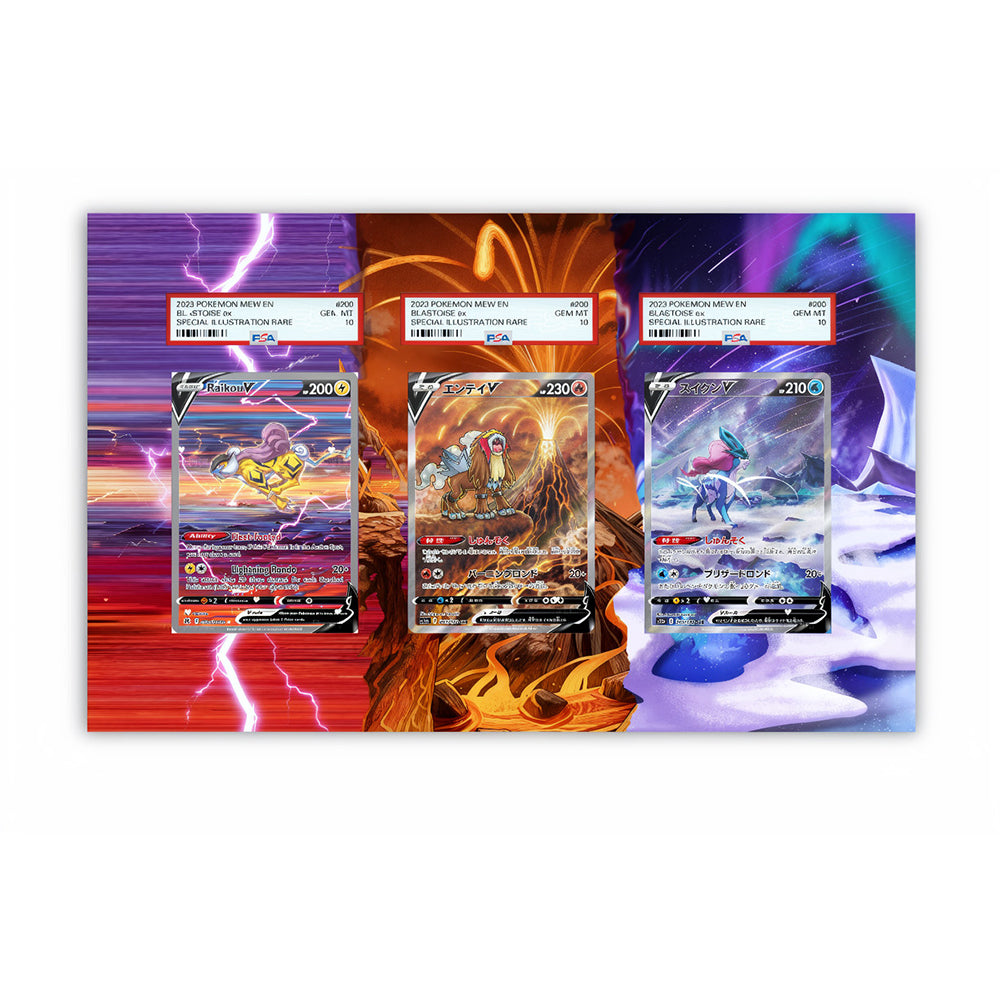 Raikou Suicune Entei - Pokémon Extended Artwork Protective Card Display Case-2