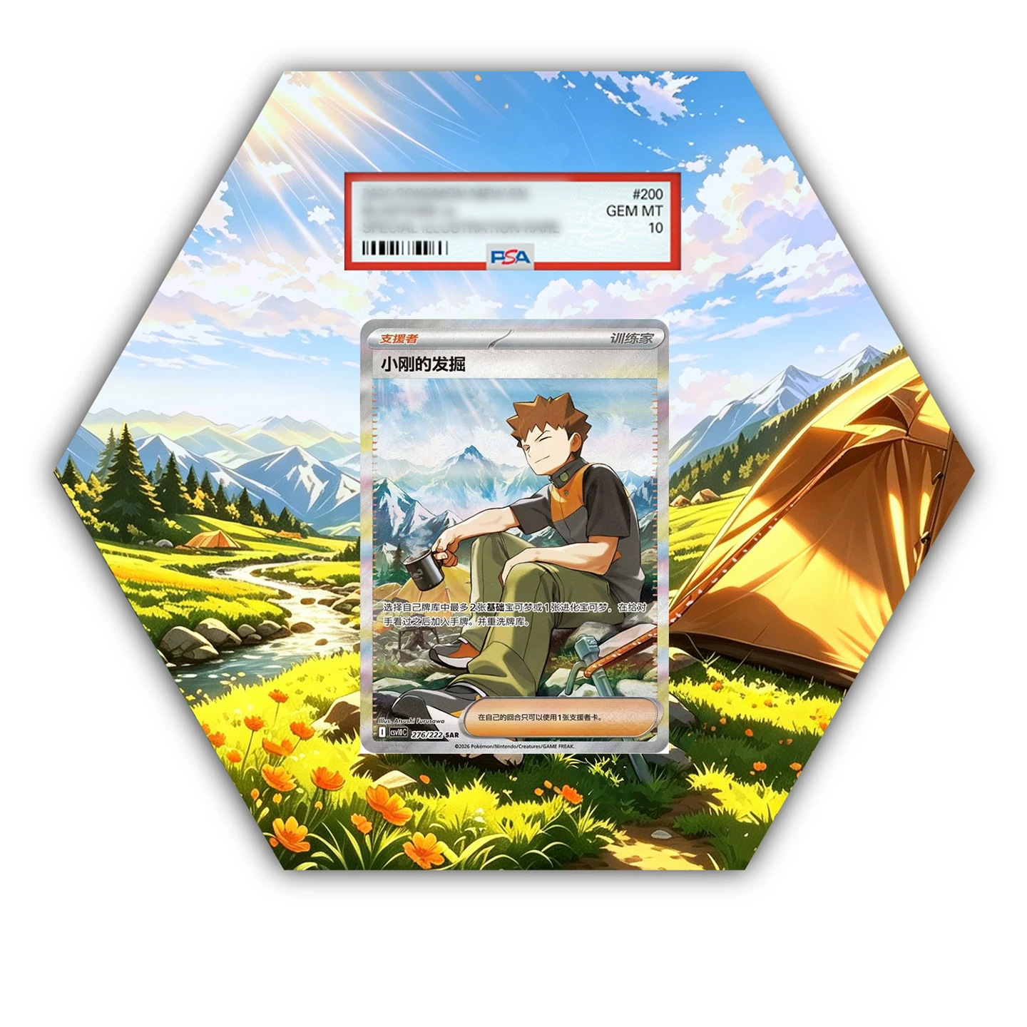 Brock 276/222 Sar - Pokémon Octax Extended Artwork Protective Card Wall Display Case